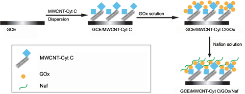 Figure 6 Schematic representation of the construction of GCE/MWCNT-Cyt C/GOx/Naf biosensors for electrochemical detection of glucose. Data from Eguilaz et al.Citation38