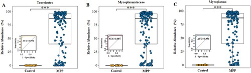 Figure 5. Relative abundance of Tenericutes, Mycoplasmataceae and Mycoplasma in MPP and Control groups. (A) Tenericutes. (B) Mycoplasmataceae. (C) Mycoplasma. MPP, Mycoplasma pneumoniae pneumonia patient; Control, other bacterial or viral pneumonia. ***P < 0.001.