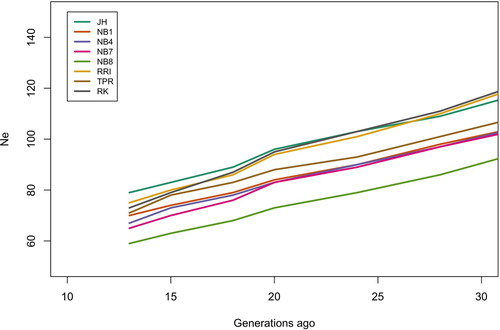 Figure 7. Historical effective population size levels from 30 to 13 generations ago for all the gene bank lines.