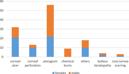 Figure 11 Gender distribution of amniotic membrane transplant indications.
