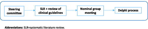Figure 1. Project methodology flowchart. Abbreviation. SLR: systematic literature review.