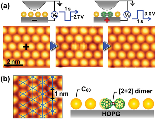 Figure 7. (a) High-resolution STM images showing control of polymerization (left to central) and depolymerization (central to right) between C60 molecules in C60 monolayer film using STM. (b) Local modification of molecular arrangement in C60 monolayer films after polymerization [Citation65,Citation65]. Superimposed triangular mesh in left STM image shows two-dimensional periodicity of pristine C60 molecules. Right picture shows schematic side view of a C60 dimer in the monolayer film.
