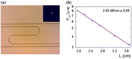 Figure 6. (a) Near field of propagated light at λ = 7·7 μm and microscopic image of single-mode ridge waveguides in S-shape configuration. (b) Optical propagation loss at λ = 7·7 μm measured by mode profile imaging method for selenide ridge waveguides with height equal to 1·7 μm and width of 10 μm. Each point represents averaged data for 3 experimental measures.