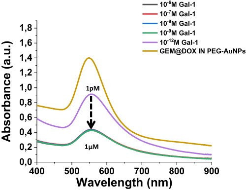 Figure 2 UV-Vis absorption spectra in the range 200–900 nm of GEM@DOX IN PEG-AuNPs before (yellow line) and after interaction of Galectin-1 (from 1µM to 1pM) under straight condition (NaCl 0.9%).