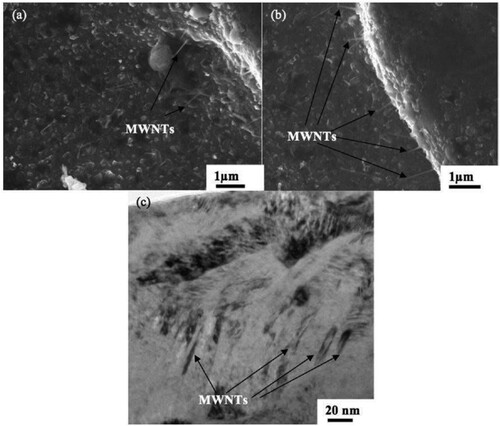 Figure 35. Morphology of multiwalled carbon nanotube (MWNT)/Fe nanocomposites prepared by laser sintering. (a) and (b) Morphology of MWNTs at the surface; (c) MWNTs distributed in the cross section of the iron matrix. Reprinted with permission from [Citation98].
