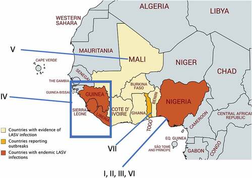 Figure 1. Geographical distribution of different Lassa virus (LASV) lineages in West Africa. LASV lineages are determined based on phylogenetic analysis of viral nucleotide or amino acid sequence variations and the geographical clustering and location where the viruses were discovered. Lineages I–III, and VI are circulating in Nigeria. The lineage IV is found in Guinea, Sierra Leone, and Liberia, and lineage V in southern Mali. The proposed lineage VII is found in Togo. Map made with an outline obtained from Africa – MapChart at the following web-site: https://mapchart.net/africa.html