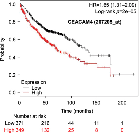 Figure 3 Kaplan–Meier survival curves of the higher and lower expression groups divided by the median value of CEACAM4 (Jetset probe, 207205_at) in patients with adenocarcinoma.