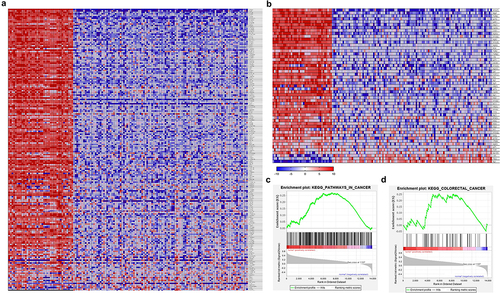 Figure 1. The expression patterns of genes compared between normal and colorectal cancer (CRC) samples. (a,b) hierarchical cluster analysis of DEGs from GEO datasets reveals the expression pattern differences between normal and colorectal cancer (CRC) samples. The heatmap illustrates the clustering of samples based on the expression levels of DEGs. Each column represents a different sample, while each row represents a DEG. (c,d) GSEA of the DEGs demonstrates their involvement in cancer pathways and specifically in colorectal cancer. The bar code indicates the number of DEGs, while the green-colored graph represents the enrichment score. The red color indicates upregulation in CRC samples (positively regulated), while the blue color represents downregulation in normal samples (negatively regulated). CRC, colorectal cancer, DEGs, differentially expressed genes, GSEA, Gene Set enrichment analysis.