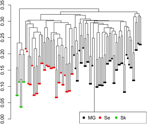 Figure 2. Clustering based on genetic distance between the 96 individuals from the three populations. MG, Norwegian Milk goat AI rams; Se, Norwegian coastal goat Selje; Sk, Norwegian coastal goat Skorpa.