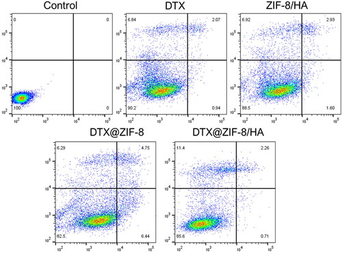 Figure 9. Flow cytometry analysis of K562 cells with the Annexin V-FITC and PI staining after treatment with the IC50 concentration of DTX, ZIF-8/HA, DTX@ZIF-8, and DTX@ZIF-8/HA.