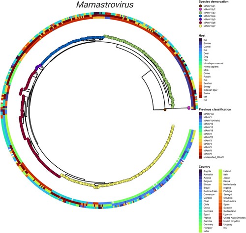 Figure 2. Integrated phylogeny for the Mamastrovirus genus. Visualization of the summarized phylogenetic tree of Mamastrovirus based on whole genomes and reconciled by the PASC distribution and genetic distances. Demarcation of the species proposed in the current study (tips), host of isolation (inner ring), previous classification of species (second ring), and geographic distribution (outer ringer) are all indicated in the phylogeny. Integration of the panels was performed by using the ggtreeExtra R package.