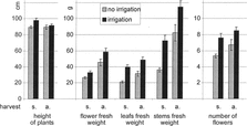 Figure 3 The influence of irrigation on plant morphology (s., summer; a., autumn). Standard error of mean is represented by the error bars.