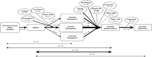 Figure 3. Frequency of IMV model pathways tested in included studies. Note. TSM = Threat-to-self moderators, TB = Thwarted Belongingness, PB = Perceived Burdensomeness, MM = Motivational moderators, VM = Volitional Moderators. This figure demonstrates the pathways in the IMV model that were investigated within the included studies. The thickness of the arrows represents the number of studies that tested the relevant association. Similarly, the arrows at the bottom represent the number of studies that tested pathways using mediation models. N provides the actual number of studies testing the pathway.