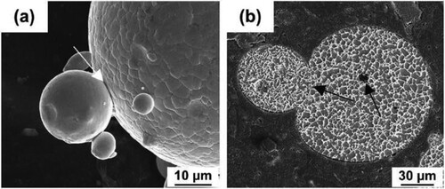 Figure 3. Different types of defects including (a) satellites and (b) internal pores related to the gas-atomization-produced powder. Reproduced with permission from [Citation71].