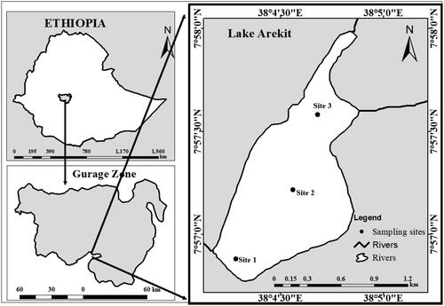 Figure 1. Study area (Lake Arekit, Ethiopia).