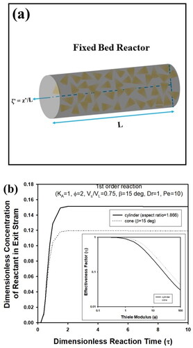 Figure 5. (a) Schematic figure of fixed bed reactor containing cone-shaped pellets (Pellet size is not to scale). (b) Transient concentration of exit stream in fixed bed reactor packed with cylindrical or cone-shaped pellets. During calculation, Vs/VL, KA, β, Dr, Φ, and Pe were fixed as 0.75, 1,15°, 1, and 10, respectively. Aspect ratio of cylindrical pellets was assumed as 1.866, which is the same as cone-shaped pellet with β = 15°.
