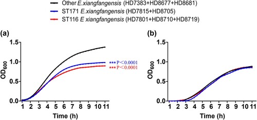 Figure 3. Growth curves of ST116, ST171 and other ST E. xiangfangensis strains. (a) Optical densities of strains in each group cultured in LB without antibiotic. (b) Optical densities of strains in each group cultured in LB with 2 μg/mL meropenem.