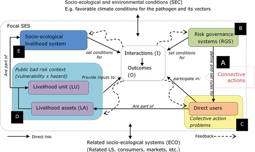 Figure A1. The core subsystems in a framework for analyzing a public-bad risk (e.g. BXW disease spread) threatening agricultural livelihoods based on banana production in a socio-ecological systems context from a risk and collective action problem perspective. Adapted from Ostrom (Citation2009a). Chosen analytical path: a [connective actions]->B [risk governance system]->C [collective action problems among direct users]->D [public-bad risk context within a specific livelihood unit and assets under research]->E [socio-ecological livelihood system].