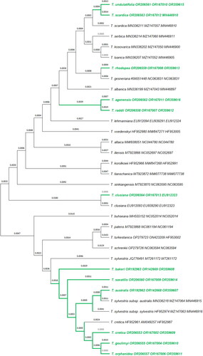 Figure 2. Phylogenetic tree of 34 Tulipa taxa with DNA sequences generated from wild-growing Greek tulip species (in green letters) and 22 retrieved from GenBank (in black letters). Sequence analysis was based on the ITS + psbA-trnH + trnL-trnF molecular markers and phylogenetic differences were estimated by using the Neighbor-Joining method. The evolutionary distances were computed using the Maximum Composite Likelihood method and are in the units of the number of base substitutions per site. Coding of samples and nomenclature of taxa as submitted in the GenBank database.