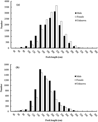 FIGURE 3. Length frequency distribution (FL, cm) of Blue Shark specimens captured by Taiwanese longline fleets in two areas of the South Atlantic: (a) the equatorial–tropical area and (b) the subtropical–temperate area (black bars = males; open bars = females; hatched bars = individuals of unknown sex).