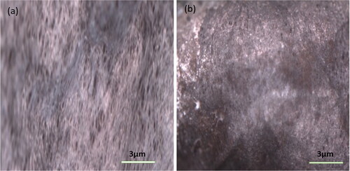 Figure 6. (a and b) Microscopy images of unmodified and modified surfaces of the sorbent material respectively.