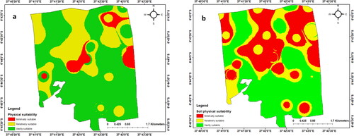 Figure 8. Soil physical parameters suitability map for bean (a) and cassava (b).