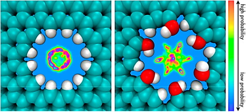Figure 7. Oxygen density maps at inside a hydrogenated (left) and hydroxylated pore (right), with open pore areas of 23 and 28 Å, respectively [Citation140]. Reproduced with permission from ACS.