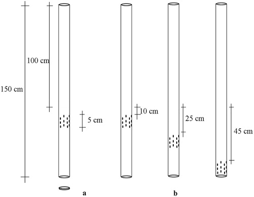 Figure 2 Mini-piezometers and the position of the perforated bands at the different sampling depths.