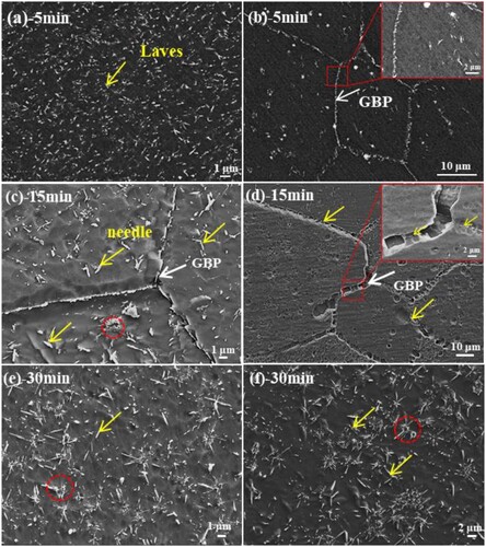 Figure 2. SEM images of the designed alloys at 1073 K aging for different time, (a, c, e): S1-0.1Zr alloy, (b, d, f): S2-0.3Zr alloy.
