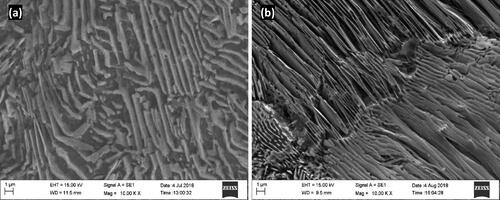 Figure 4. Microstructure of steel’s case region after carburization (a) plain carbon steel and (b) alloy steels.