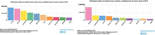 Figure 4. Graph of estimated number of different cancer cases. Breast cancer is by far the highest incident type among females [Citation3].