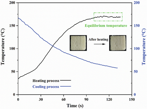 Figure 12. Cold-side temperature of LZO porous ceramics during the heating and cooling process.