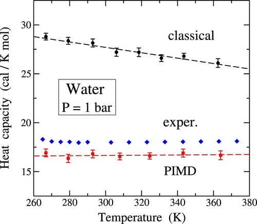 Figure 1. Heat capacity of water as a function of temperature, as derived from classical MD (circles) and PIMD simulations (squares). Diamonds indicate experimental values given by Angell et al. [Citation83], denoted as ‘exper.’. Dashed lines are guides to the eye.