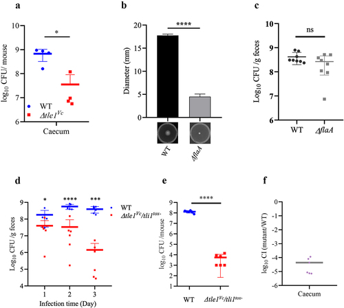 Figure 8. The effect of Tle1Vc on E1’s in vivo fitness and survival of immunity mutant.