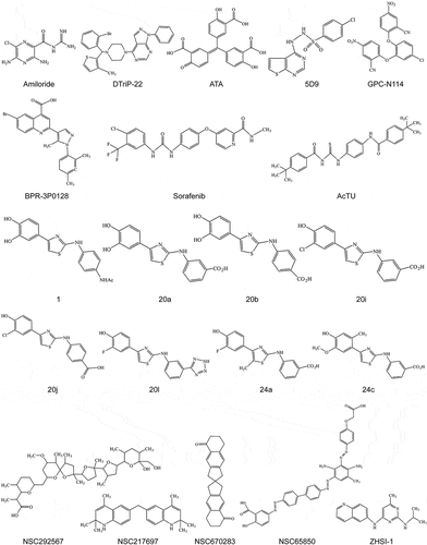 Figure 5. Structures of non-nucleoside inhibitors.