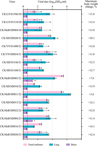 Figure 2. Replication and virulence of H7N9 viruses in mice. Virus titres in organs of mice inoculated i.n. with 106 EID50 of different H7N9 viruses. Three mice from each group were euthanized and their organs were collected on Day 3 p.i. for virus titration in eggs. Data shown are means ± standard deviations. The values labelled with one red star indicate that the virus was detected in the organ of only one mouse, and two red stars indicate that the virus was detected in the organ of two mice. The dashed lines indicate the lower limit of detection. The maximum body weight change in the groups of five mice after inoculation with 106 EID50 of the test virus are shown on the right side.