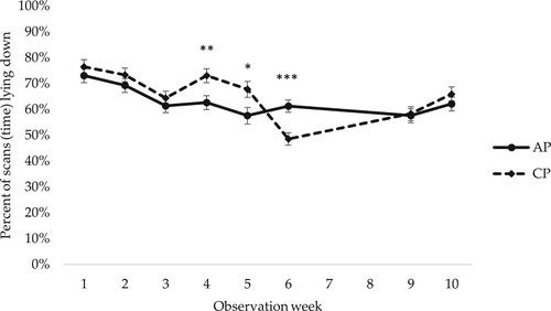 Figure 5. Percentage of scans (time) spent lying by female piglets housed in access pens (AP) and closed pens (CP) in observation weeks 1–10. In total 17 scans per female piglet and observation week. LSM ± SE. For observations in weeks 3 and 4 in AP pens, when the piglets had access to both the home and neighbouring pen, observations in both pens are included. Weaning occurred at week 5. N = 784 pig observation scans. Significance levels for pairwise differences within observation week are indicated: ***p < 0.001, **0.001 < p < 0.01, *0.01 < p < 0.05.