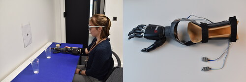 FIGURE 1. The image on the left shows the starting and ending position for each experimental trial. The image on the right shows the myoelectric prosthetic device that was attached to participants’ right forearm.