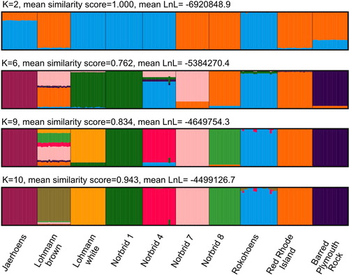 Figure 3. Individual ancestry estimates for the eight Norwegian genebank lines and the two commercial crossbred layer lines based on an LD-pruned data set for K=2, 6, 9 and 10. Mean similarity score and mean Log-Likelihood value of the 50 replicate runs is given. Each bar represents an individual and genetic lines, labelled at the bottom, are separated by black lines. Colours correspond to the 2, 6, 9 or 10 different presumed ancestries.