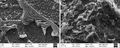 Figure 2. Microstructure of steels in as received condition (a) plain carbon steel and (b) alloy steels.