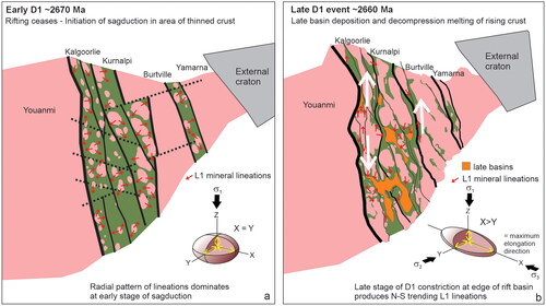 Figure 14. Development of dome-and-basin geometry in the Eastern Goldfields as a result of sagduction within the ca 2730–2670 Ma rift zone: (a) during the initial phase of sagduction, the felsic crust rises, forming granite domes while greenstones sink with a radial pattern of L1 lineations developing around the rising domes; and (b) at a later phase of sagduction, depocentres develop on the sinking greenstones with deposition of widespread late basin sequences. Zones of strong north–south L1 lineations on the edges of the original rift suggest development of ‘escape’ structures as a result of increasing east–west constriction from the rising domes.
