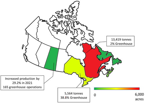 Figure 1. 2021 Canadian farm distribution map for strawberry fruit production (Government of Canada Citation2022a; Government of Saskatchewan Citation2023; Statistics Canada Citation2022).