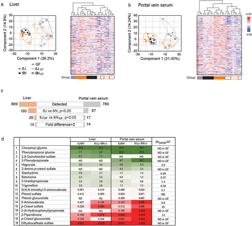 Figure 2. Identification of gut microbial metabolites potentially associated with differential susceptibility to APAP-induced hepatotoxicity using untargeted metabolomics.