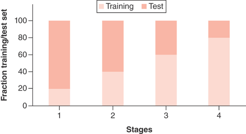 Figure 4. Dynamic stages for evaluation.