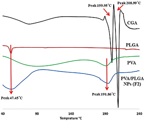 Figure 6. DSC thermograms for free CGA, PLGA 50:50, PVA and PVA/PLGA NPs (F2).