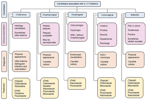 Figure 4. Clinical presentation, diagnosis and treatment of candidiasis associated with IL-17 inhibitors.