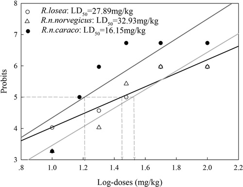 Figure 3. LD50 for the Rattus species, R.losea, R.n.norvegicus and R.n.caraco, calculated by regression of probits converted from percentage mortalities against and log-doses of DR8.