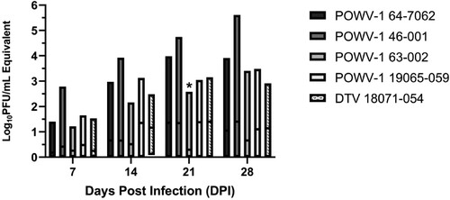 Figure 5. Growth kinetics of New York State (NYS) Powassan virus (POWV-1) and deer tick virus (DTV) isolates in Ixodes scapularis nymphs following immersion. Individual data include two separate, statistically equivalent experiments (t-test, p > 0.05, n = 4-19). Time (DPI) significantly influenced viral load (two-way ANOVA, p < 0.0001). Pairwise comparisons indicated statistical equivalence of viral load among strains, with the exception of POWV-1 63-002, which was significantly lower than all other strains at 21 DPI (two-way ANOVA, Tukey’s multiple comparisons, p < 0.017).