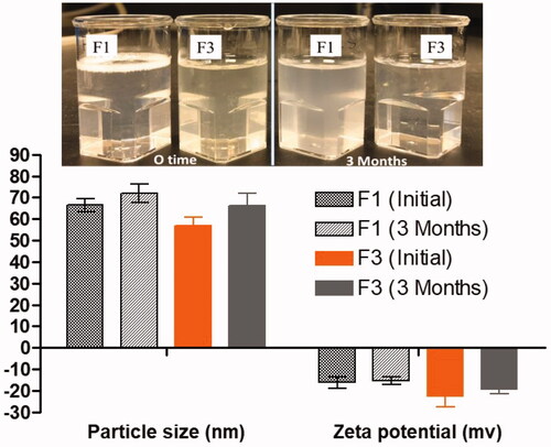 Figure 3. The appearance and the stability data (particle size and zeta potential values) of representative SNEDDS upon aqueous dispersion at initial and after 3 months of storage.