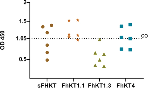 Figure 6. Comparison of the performance of synthetic Kunitz (sFhkt) and recombinants (FhKT1.1, FhKT1.3, FhKT4) in the diagnosis of F. hepatica-infected sheep. (CO) average cut-off value for each antigen (CO: 1.05 OD) obtained from individual cut-off values for each sFhkt or rFhKt (0.87; 1.08; 0.99; 1.27).
